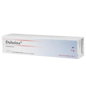 DALATINA CLINDAMICINA GEL 1G