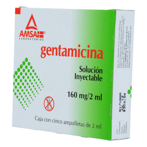 GENTAMICINA AMSA 160MG/2ML