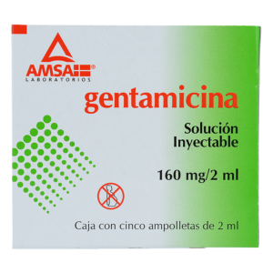 GENTAMICINA AMSA 160MG/2ML