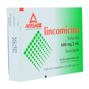 LINCOMICINA AMSA SOL 600MG/2ML