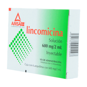 LINCOMICINA AMSA SOL 600MG/2ML