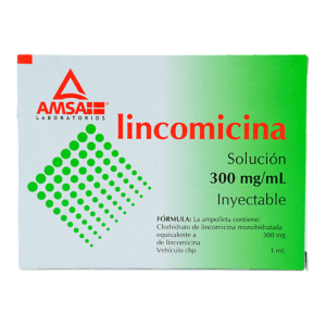 LINCOMICINA AMSA SOL 300MG/ML