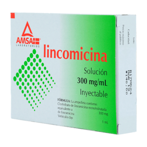 LINCOMICINA AMSA SOL 300MG/ML