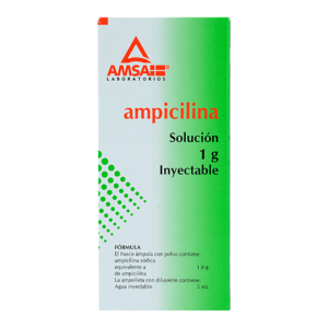 AMPICILINA AMSA AMP 1G/5ML