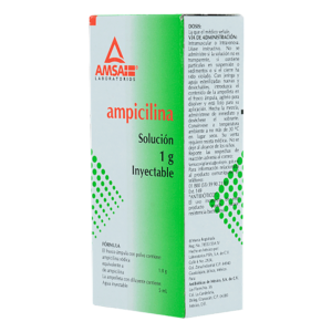 AMPICILINA AMSA AMP 1G/5ML