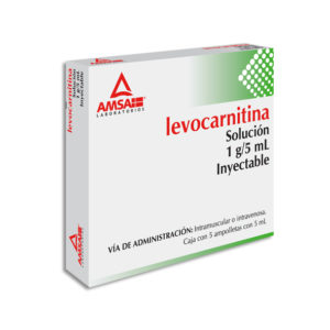 LEVOCARNITINA AMSA SOL 1G/5ML